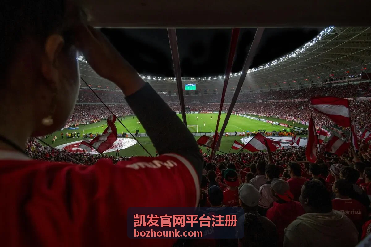 凯发官网平台注册团队成员角色与权限划分示意